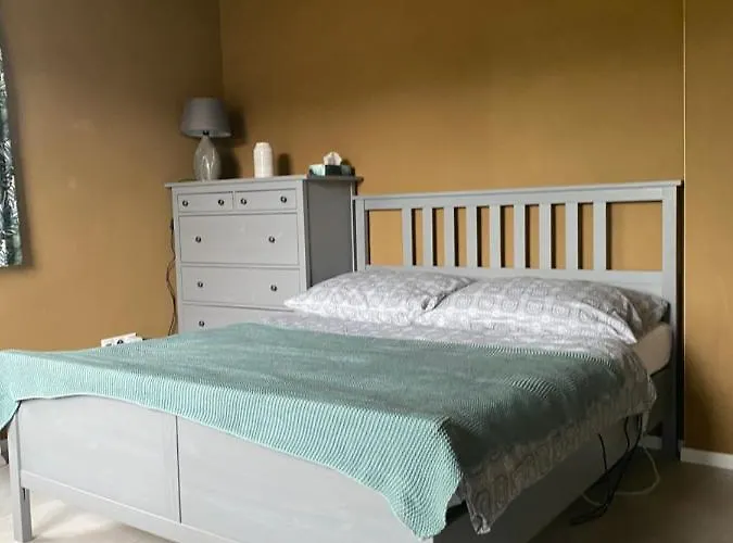 Clay Borik Virivka Len V Letnom Obdobi Lejlighed